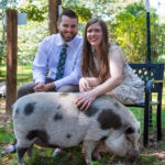 couple with pig