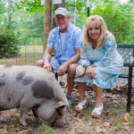 couple petting a pig